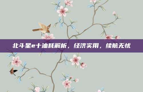 北斗星e十油耗解析,经济实用,续航无忧