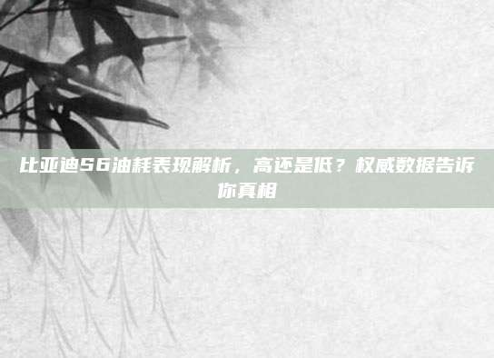 比亚迪S6油耗表现解析,高还是低?权威数据告诉你真相
