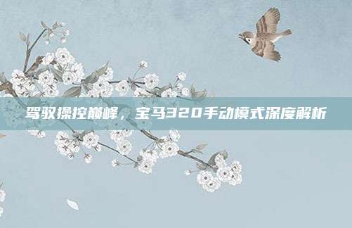 驾驭操控巅峰,宝马320手动模式深度解析