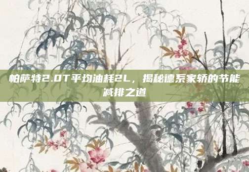 帕萨特2.0T平均油耗2L,揭秘德系家轿的节能减排之道