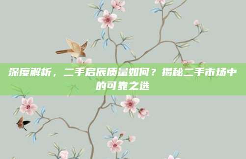 深度解析,二手启辰质量如何?揭秘二手市场中的可靠之选