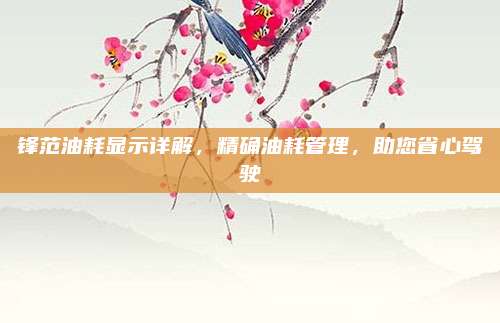 锋范油耗显示详解,精确油耗管理,助您省心驾驶