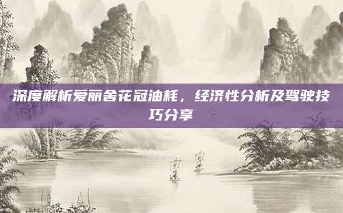 深度解析爱丽舍花冠油耗,经济性分析及驾驶技巧分享