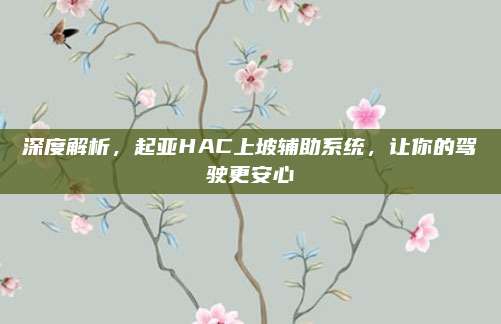 深度解析,起亚HAC上坡辅助系统,让你的驾驶更安心