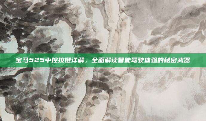 宝马525中控按键详解,全面解读智能驾驶体验的秘密武器