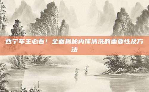 西宁车主必看!全面揭秘内饰清洗的重要性及方法