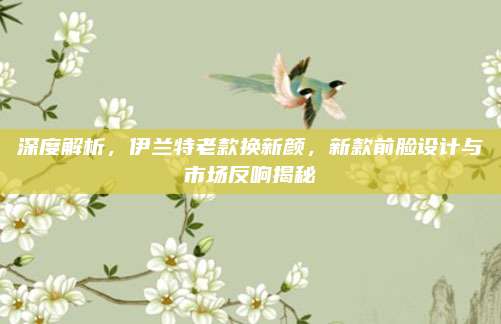 深度解析,伊兰特老款换新颜,新款前脸设计与市场反响揭秘