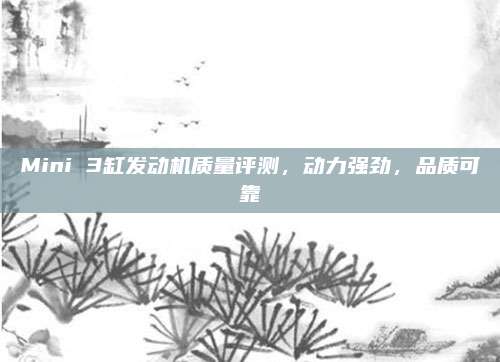 Mini 3缸发动机质量评测,动力强劲,品质可靠