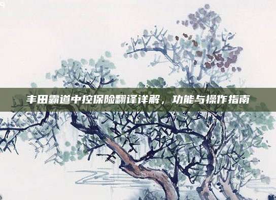 丰田霸道中控保险翻译详解，功能与操作指南