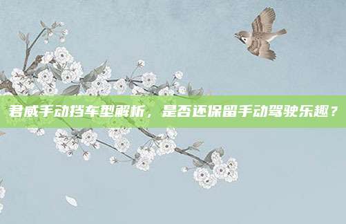 君威手动挡车型解析,是否还保留手动驾驶乐趣?