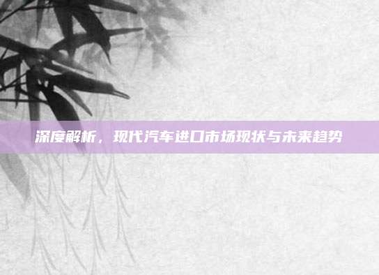 深度解析,现代汽车进口市场现状与未来趋势