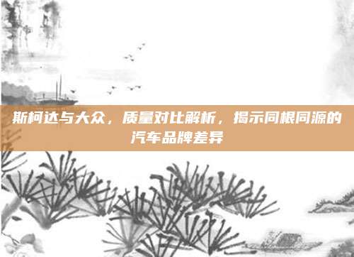 斯柯达与大众,质量对比解析,揭示同根同源的汽车品牌差异