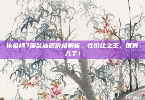依维柯7座柴油版价格解析,性价比之王,值得入手!