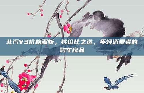北汽V3价格解析,性价比之选,年轻消费者的购车良品