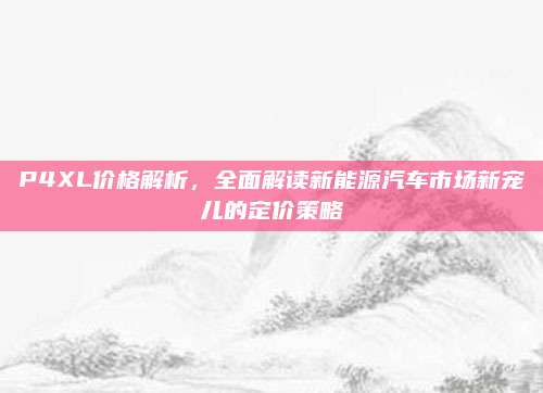 P4XL价格解析,全面解读新能源汽车市场新宠儿的定价策略