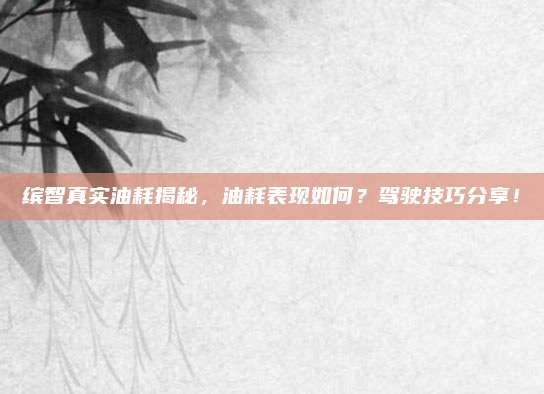 缤智真实油耗揭秘,油耗表现如何?驾驶技巧分享!