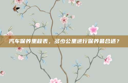 汽车保养里程表,多少公里进行保养最合适?