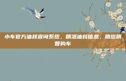 小车官方油耗查询系统,精准油耗信息,助您明智购车