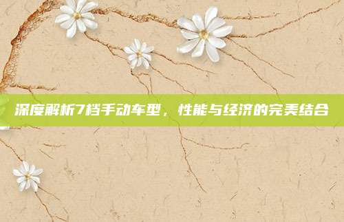 深度解析7档手动车型,性能与经济的完美结合