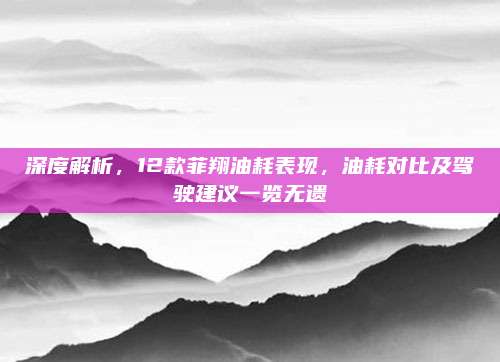 深度解析,12款菲翔油耗表现,油耗对比及驾驶建议一览无遗