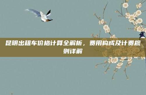 昆明出租车价格计算全解析,费用构成及计费规则详解