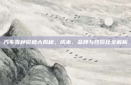 汽车雪种价格大揭秘,成本、品牌与性价比全解析