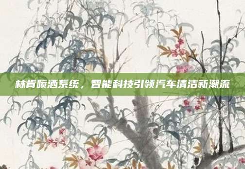 林肯喷洒系统,智能科技引领汽车清洁新潮流