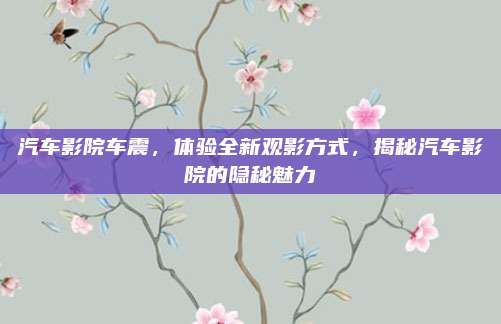 汽车影院车震,体验全新观影方式,揭秘汽车影院的隐秘魅力