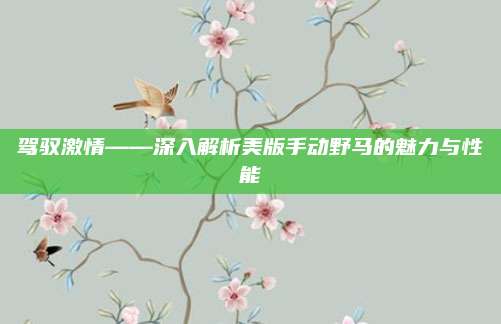驾驭激情——深入解析美版手动野马的魅力与性能