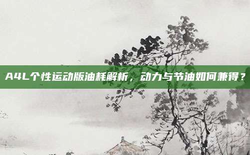 A4L个性运动版油耗解析,动力与节油如何兼得?