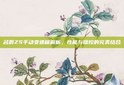 名爵ZS手动变速箱解析,性能与操控的完美结合