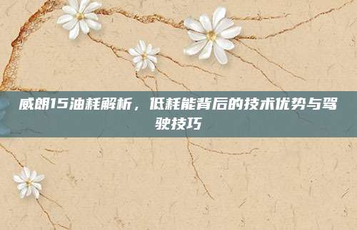 威朗15油耗解析,低耗能背后的技术优势与驾驶技巧