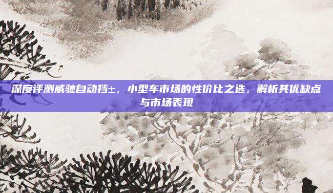 深度评测威驰自动挡±,小型车市场的性价比之选,解析其优缺点与市场表现