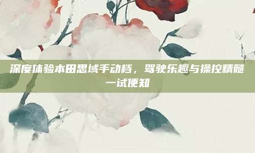 深度体验本田思域手动档,驾驶乐趣与操控精髓一试便知