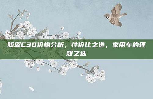 腾翼C30价格分析,性价比之选,家用车的理想之选