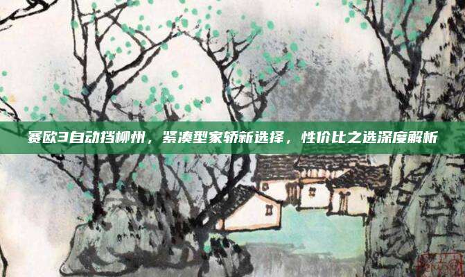 赛欧3自动挡柳州，紧凑型家轿新选择，性价比之选深度解析