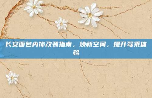 长安面包内饰改装指南,焕新空间,提升驾乘体验