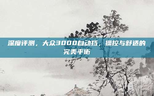 深度评测,大众3000自动挡,操控与舒适的完美平衡