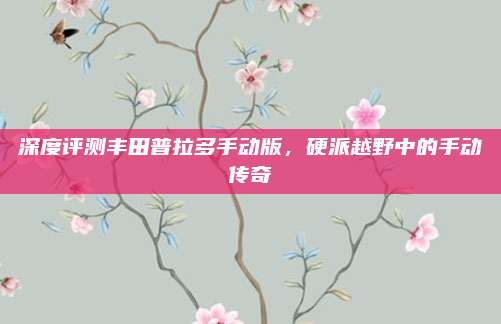 深度评测丰田普拉多手动版,硬派越野中的手动传奇