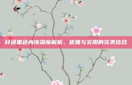 轩逸黑色内饰深度解析,优雅与实用的完美结合