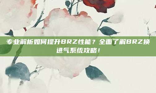 专业解析如何提升BRZ性能?全面了解BRZ换进气系统攻略!
