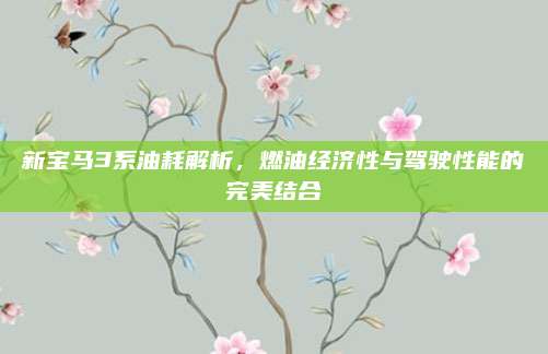 新宝马3系油耗解析,燃油经济性与驾驶性能的完美结合