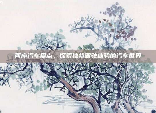 两座汽车盘点,探索独特驾驶体验的汽车世界