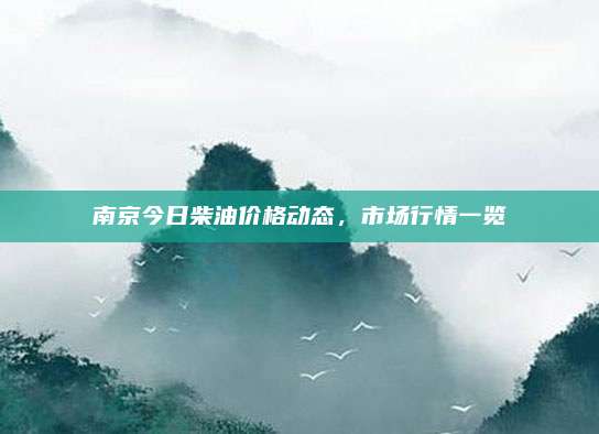 南京今日柴油价格动态，市场行情一览