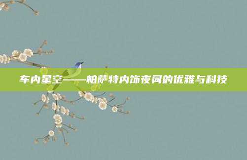 车内星空——帕萨特内饰夜间的优雅与科技