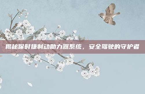 揭秘保时捷制动助力器系统,安全驾驶的守护者