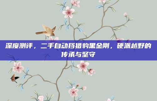 深度测评,二手自动挡猎豹黑金刚,硬派越野的传承与坚守