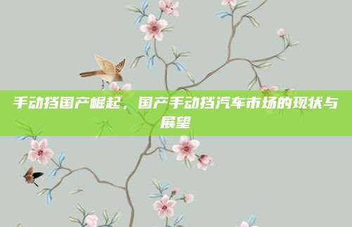 手动挡国产崛起,国产手动挡汽车市场的现状与展望