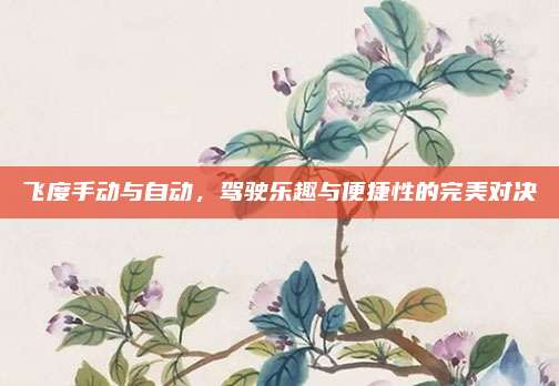 飞度手动与自动,驾驶乐趣与便捷性的完美对决