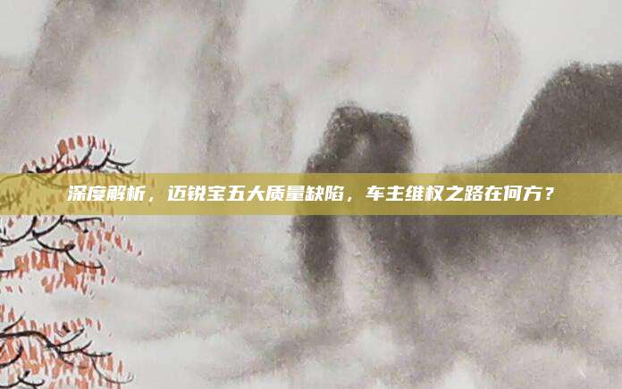 深度解析,迈锐宝五大质量缺陷,车主维权之路在何方?